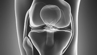 반월상연골절제
봉합술